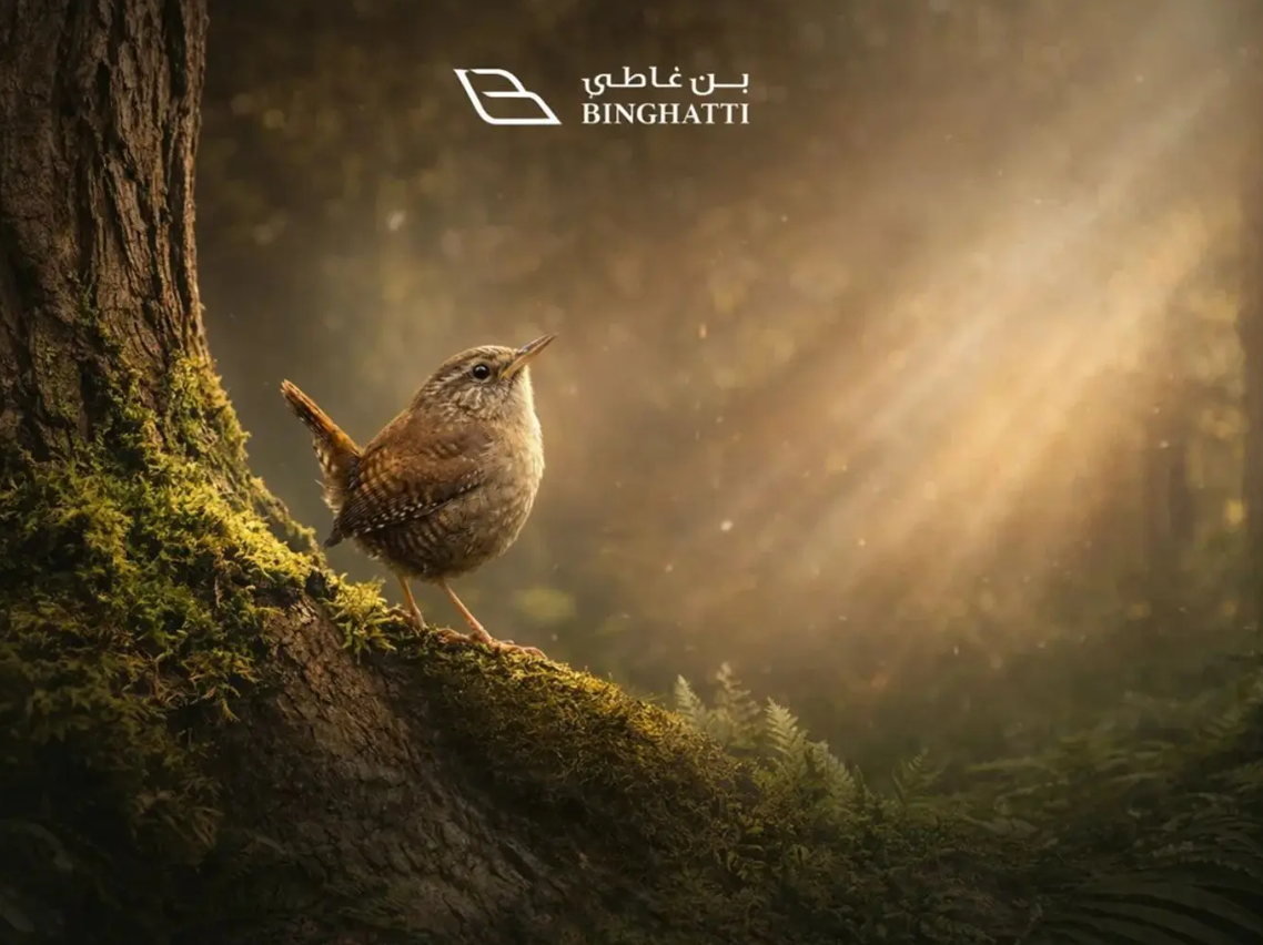 tilal binghatti villas